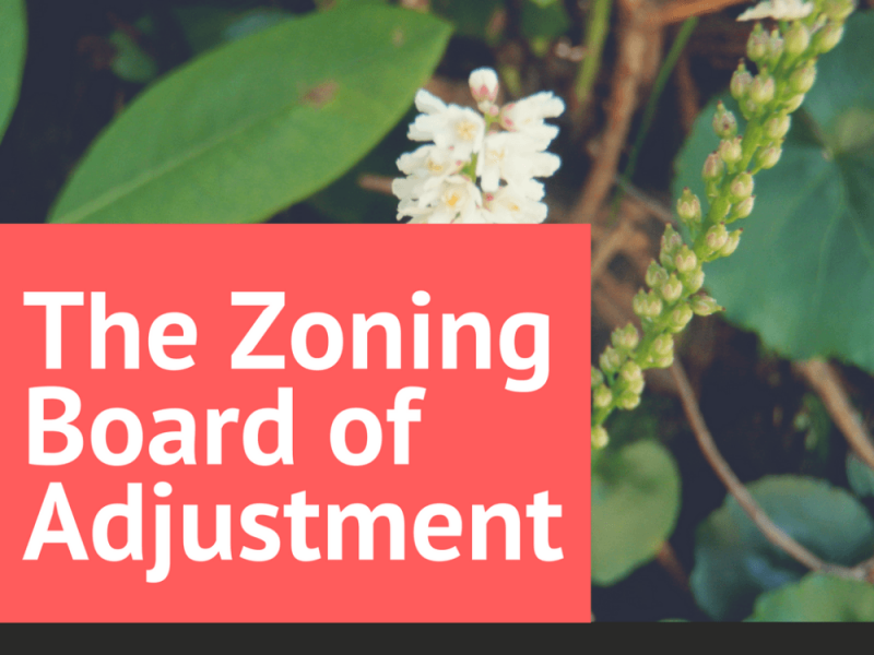 Zoning Board